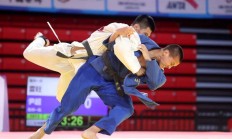 包含东道主实力碾压，法国选手斩获冠军的词条